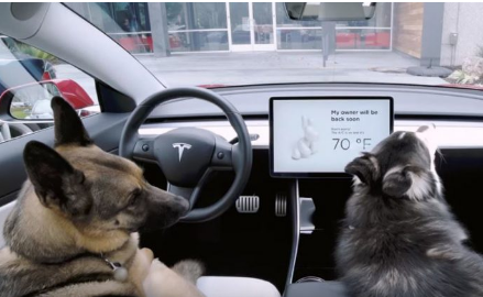 特斯拉推出狗模式以保持宠物在车内的舒适感