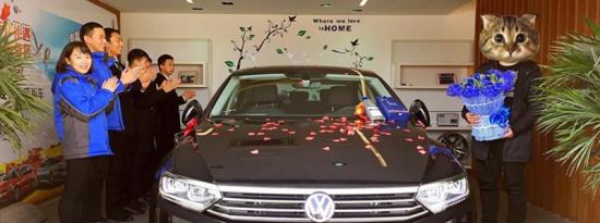 新手买车十大注意事项4s店买车流程及注意事项