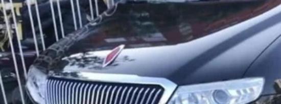 京AG6开头的车牌代表什么意思,·京AG6201红旗事件