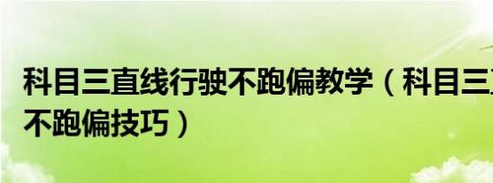 科目三直线行驶不跑偏教学（科目三直线行驶不跑偏技巧）