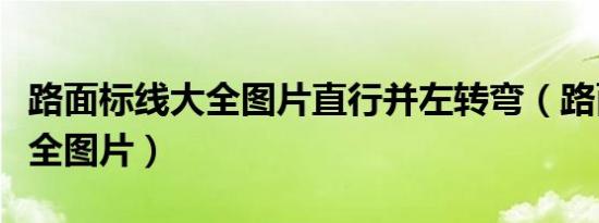 路面标线大全图片直行并左转弯（路面标线大全图片）