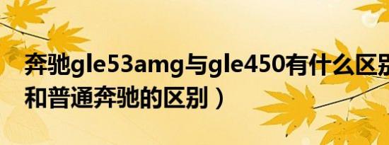 奔驰gle53amg与gle450有什么区别（amg和普通奔驰的区别）