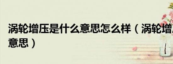 涡轮增压是什么意思怎么样（涡轮增压是什么意思）