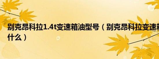 别克昂科拉1.4t变速箱油型号（别克昂科拉变速箱油型号是什么）