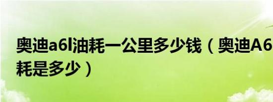 奥迪a6l油耗一公里多少钱（奥迪A6L19款油耗是多少）