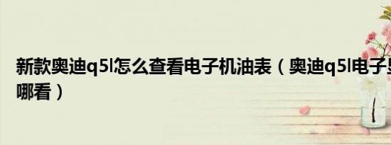 新款奥迪q5l怎么查看电子机油表（奥迪q5l电子显示机油在哪看）