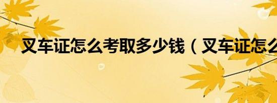 叉车证怎么考取多少钱（叉车证怎么考）