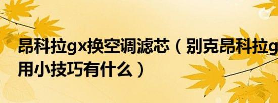 昂科拉gx换空调滤芯（别克昂科拉gx空调使用小技巧有什么）