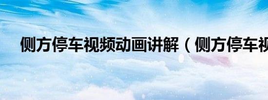 侧方停车视频动画讲解（侧方停车视频）