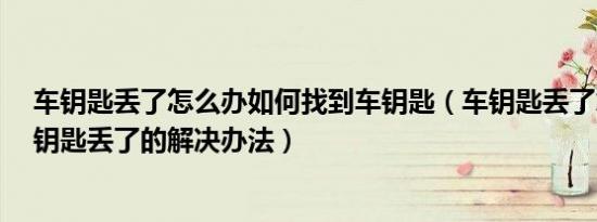 车钥匙丢了怎么办如何找到车钥匙（车钥匙丢了怎么办 车钥匙丢了的解决办法）