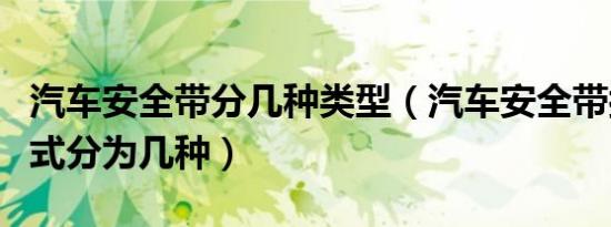汽车安全带分几种类型（汽车安全带按固定方式分为几种）