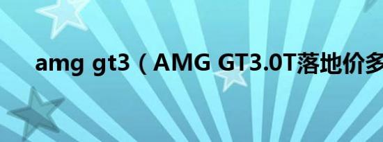 amg gt3（AMG GT3.0T落地价多少）