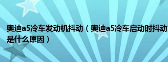 奥迪a5冷车发动机抖动（奥迪a5冷车启动时抖动大热车正常是什么原因）