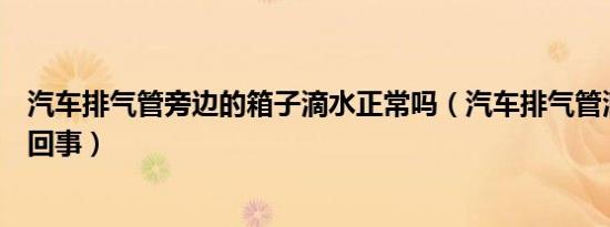 汽车排气管旁边的箱子滴水正常吗（汽车排气管滴水是怎么回事）