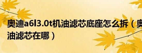 奥迪a6l3.0t机油滤芯底座怎么拆（奥迪a6l机油滤芯在哪）