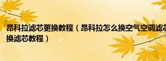 昂科拉滤芯更换教程（昂科拉怎么换空气空调滤芯 昂科拉拆换滤芯教程）