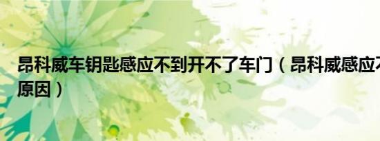 昂科威车钥匙感应不到开不了车门（昂科威感应不到钥匙的原因）