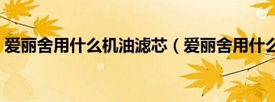 爱丽舍用什么机油滤芯（爱丽舍用什么机油）