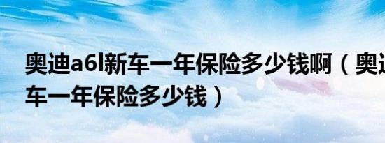 奥迪a6l新车一年保险多少钱啊（奥迪A6L新车一年保险多少钱）