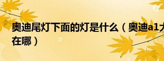 奥迪尾灯下面的灯是什么（奥迪a1大灯编码在哪）