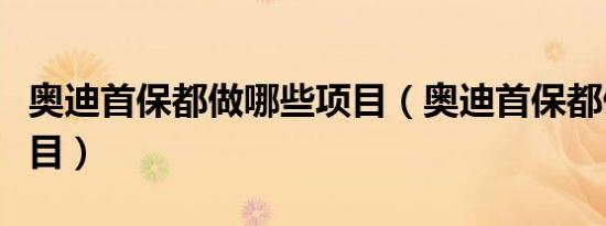 奥迪首保都做哪些项目（奥迪首保都做哪些项目）