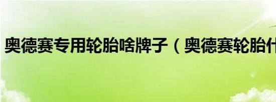奥德赛专用轮胎啥牌子（奥德赛轮胎什么牌）