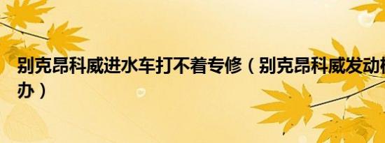 别克昂科威进水车打不着专修（别克昂科威发动机进水如何办）