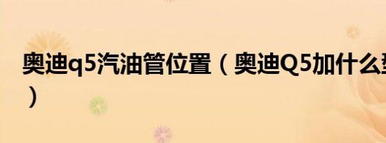奥迪q5汽油管位置（奥迪Q5加什么型号汽油）