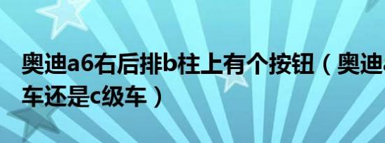 奥迪a6右后排b柱上有个按钮（奥迪a6是b级车还是c级车）