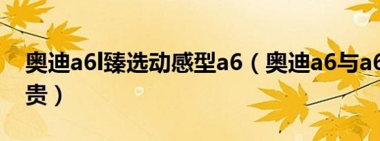 奥迪a6l臻选动感型a6（奥迪a6与a6l哪个更贵）