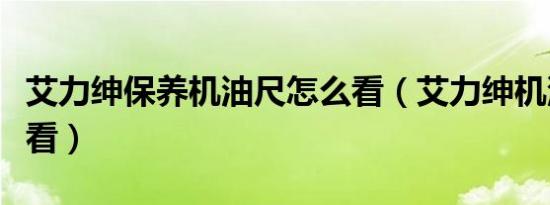 艾力绅保养机油尺怎么看（艾力绅机油尺怎么看）