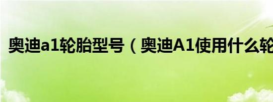 奥迪a1轮胎型号（奥迪A1使用什么轮胎好）