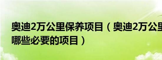 奥迪2万公里保养项目（奥迪2万公里保养有哪些必要的项目）