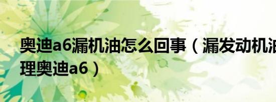 奥迪a6漏机油怎么回事（漏发动机油怎么处理奥迪a6）