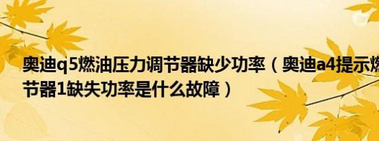 奥迪q5燃油压力调节器缺少功率（奥迪a4提示燃油压力调节器1缺失功率是什么故障）