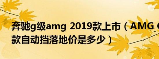 奔驰g级amg 2019款上市（AMG GT2019款自动挡落地价是多少）