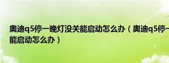 奥迪q5停一晚灯没关能启动怎么办（奥迪q5停一晚灯没关能启动怎么办）