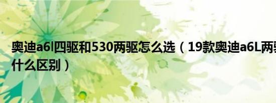 奥迪a6l四驱和530两驱怎么选（19款奥迪a6L两驱和四驱有什么区别）