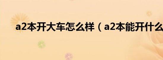 a2本开大车怎么样（a2本能开什么车）