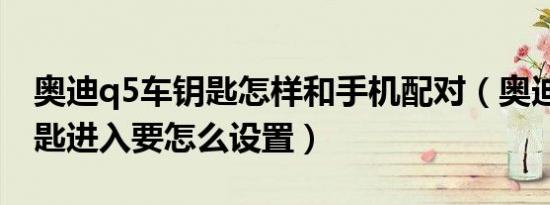 奥迪q5车钥匙怎样和手机配对（奥迪q5无钥匙进入要怎么设置）