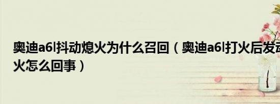 奥迪a6l抖动熄火为什么召回（奥迪a6l打火后发动机抖动熄火怎么回事）