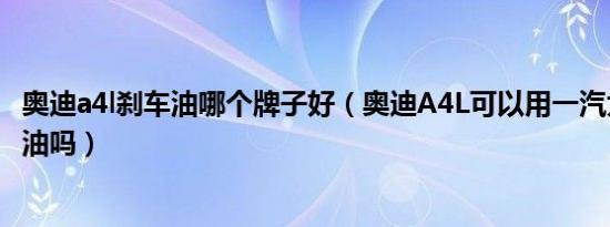 奥迪a4l刹车油哪个牌子好（奥迪A4L可以用一汽大众的刹车油吗）