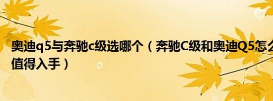 奥迪q5与奔驰c级选哪个（奔驰C级和奥迪Q5怎么选 哪个更值得入手）