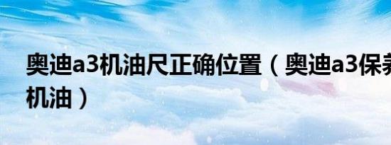 奥迪a3机油尺正确位置（奥迪a3保养用什么机油）