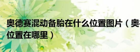 奥德赛混动备胎在什么位置图片（奥德赛备胎位置在哪里）