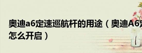 奥迪a6定速巡航杆的用途（奥迪A6定速巡航怎么开启）
