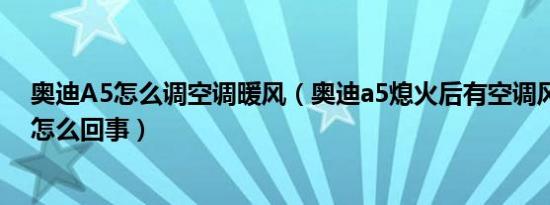 奥迪A5怎么调空调暖风（奥迪a5熄火后有空调风一直有风怎么回事）