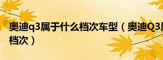 奥迪q3属于什么档次车型（奥迪Q3属于什么档次）
