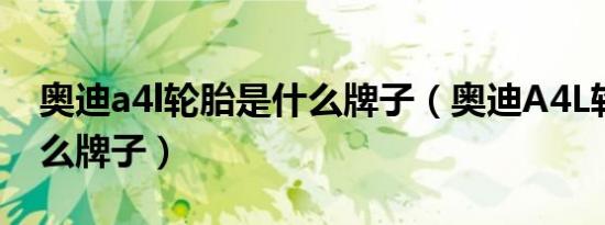 奥迪a4l轮胎是什么牌子（奥迪A4L轮胎是什么牌子）