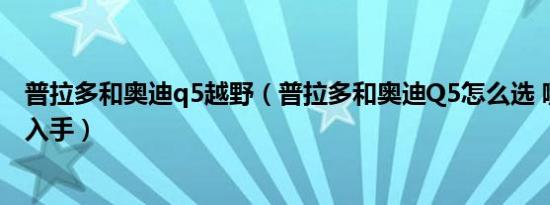 普拉多和奥迪q5越野（普拉多和奥迪Q5怎么选 哪个更值得入手）